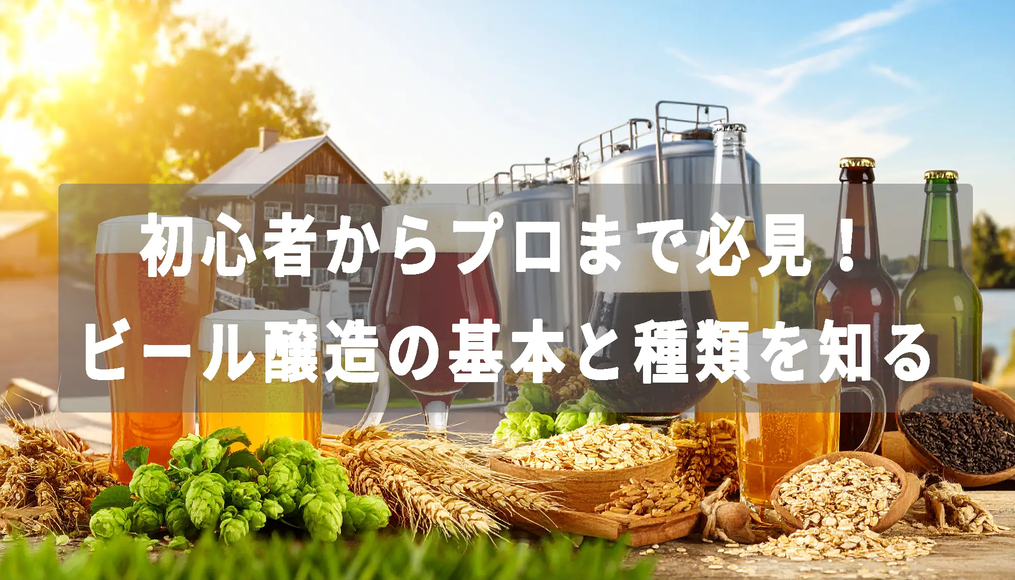 初心者からプロまで必見！ビール醸造の基本と種類を知る